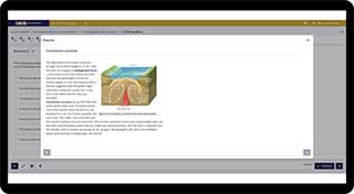 Voorbeeld theorie uitleg