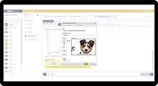 Aantekeningen bij inhoud