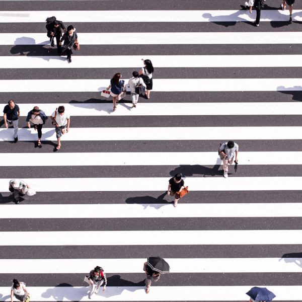 Edu-Suite edtech CMS LMS ProLearn